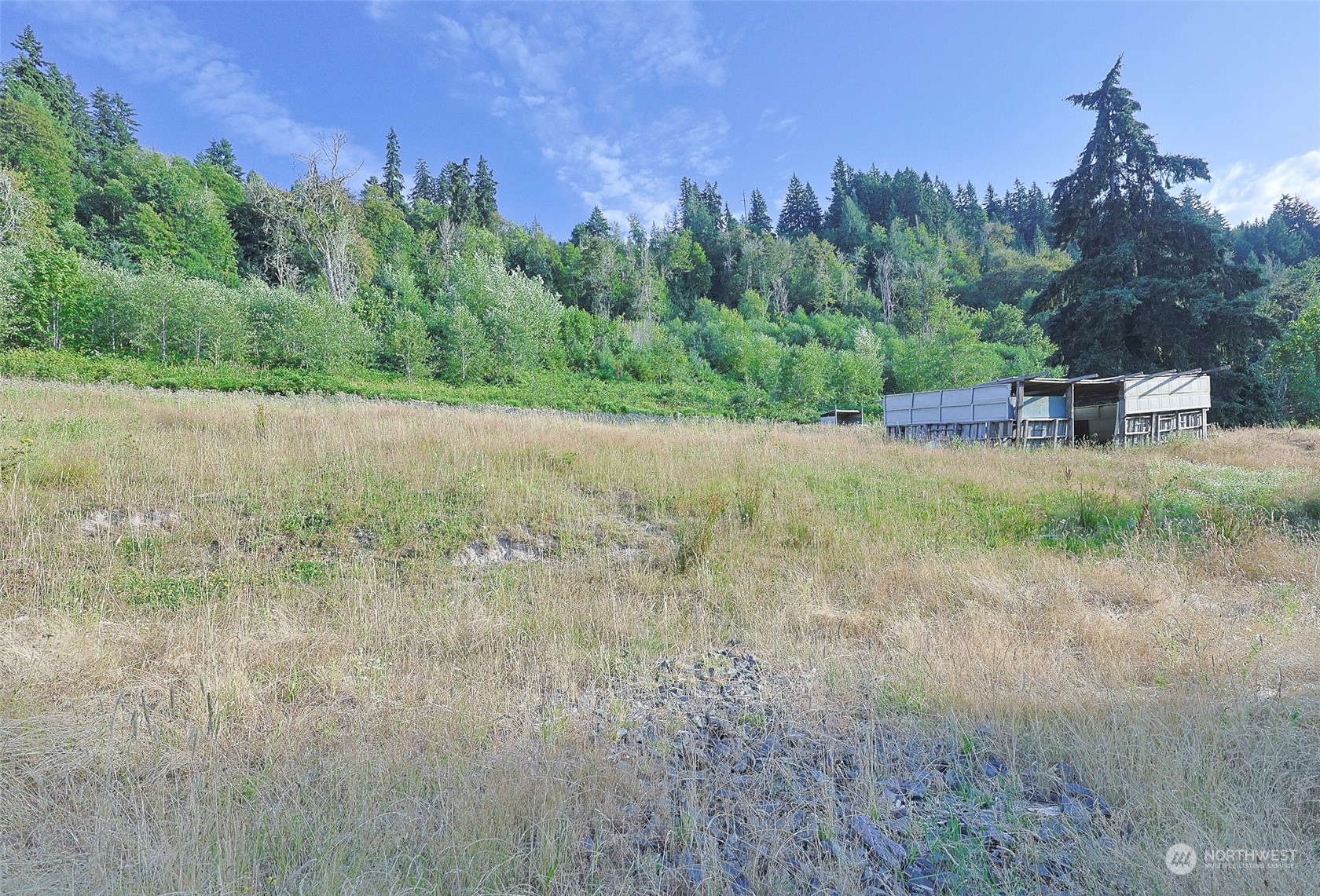 11120 Ohop Valley-Extension Road East Eatonville, WA 98328 - Photo 26 of 32 a view of a yard with a tree