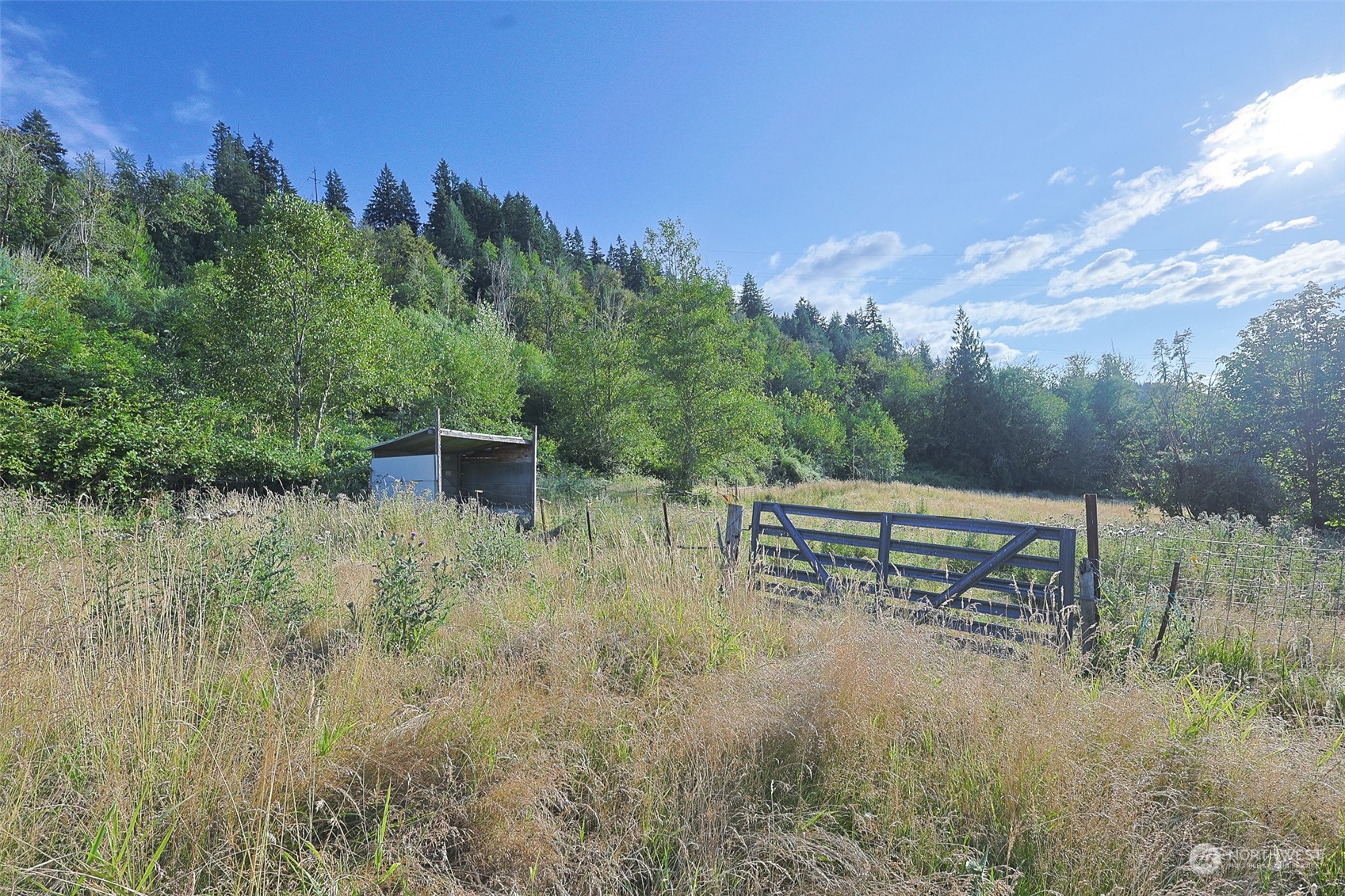 11120 Ohop Valley-Extension Road East Eatonville, WA 98328 - Photo 27 of 32 a view of a lake view