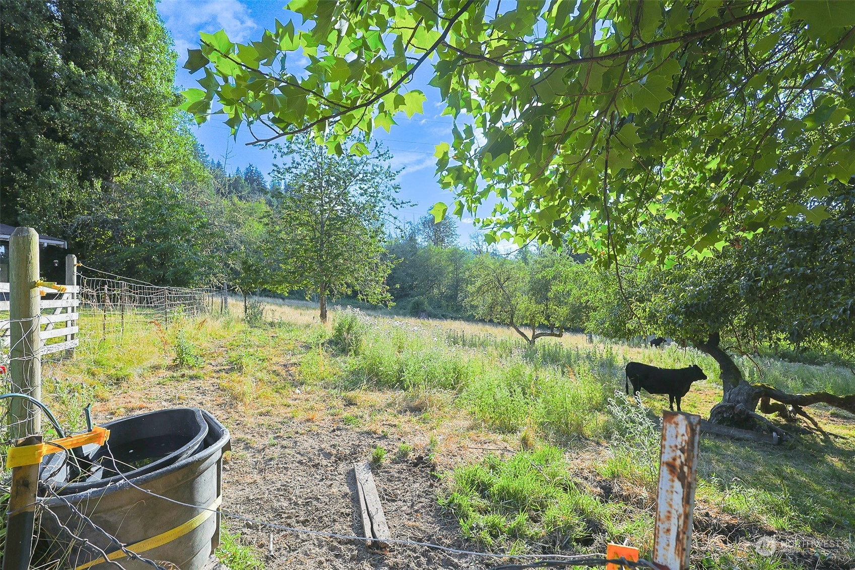 11120 Ohop Valley-Extension Road East Eatonville, WA 98328 - Photo 28 of 32 a view of yard with green space