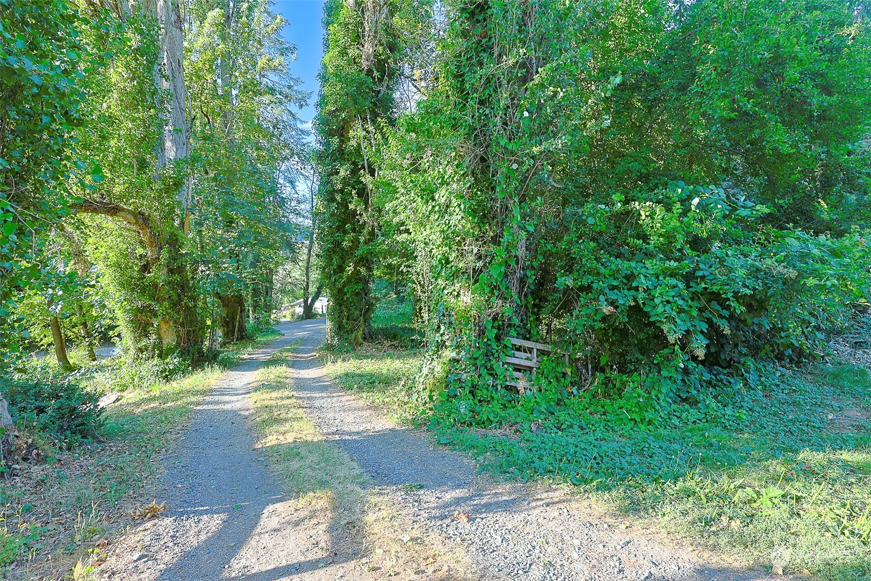11120 Ohop Valley-Extension Road East Eatonville, WA 98328 - Photo 29 of 32 a view of yard with green space