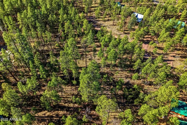 $79,000 | 20 Co Road, Unit 114, Alpine, AZ 85920