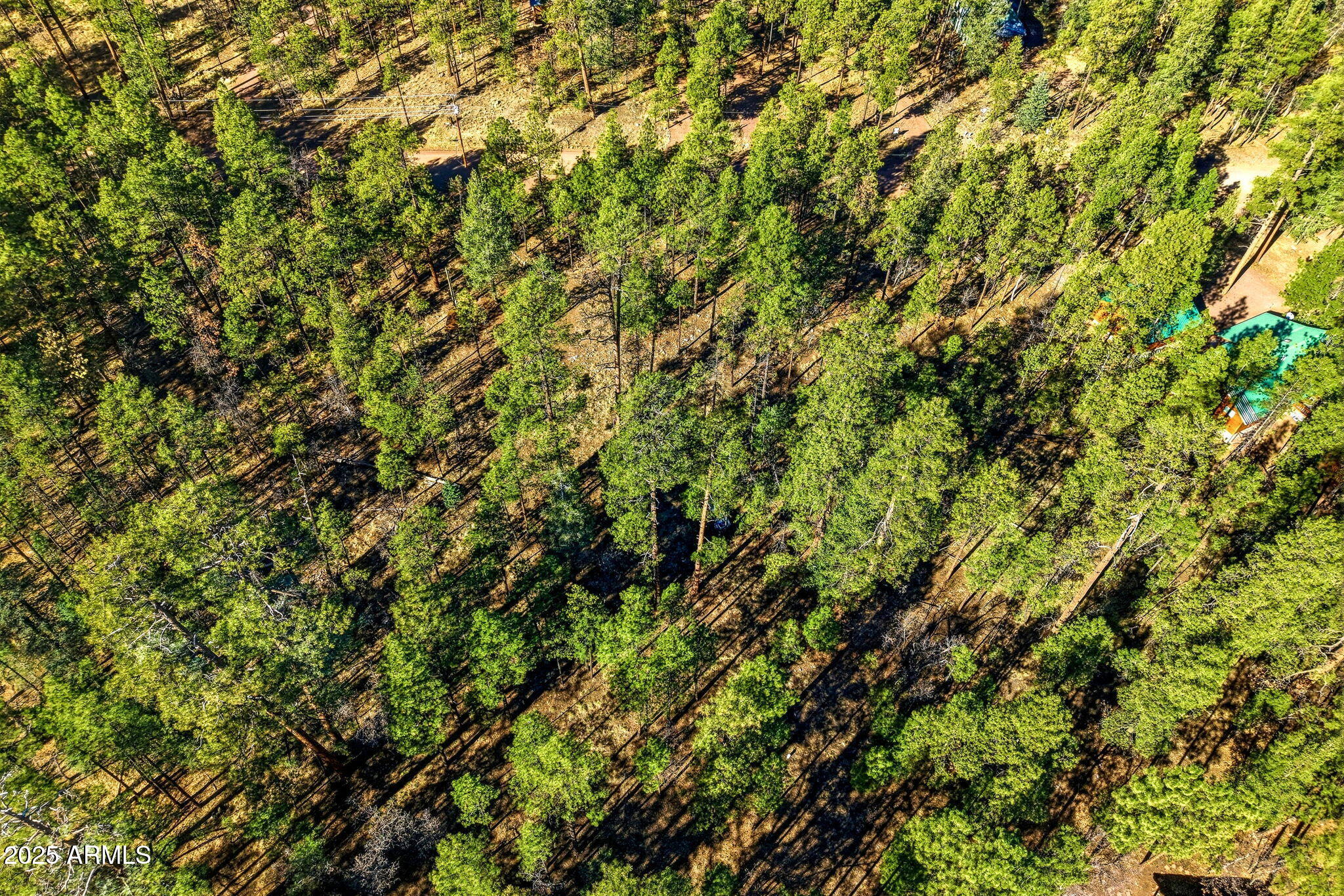 20 Co Road, Unit 114 Alpine, AZ 85920 - Photo 14 of 15 20CR2067-Alpine-AZ-11