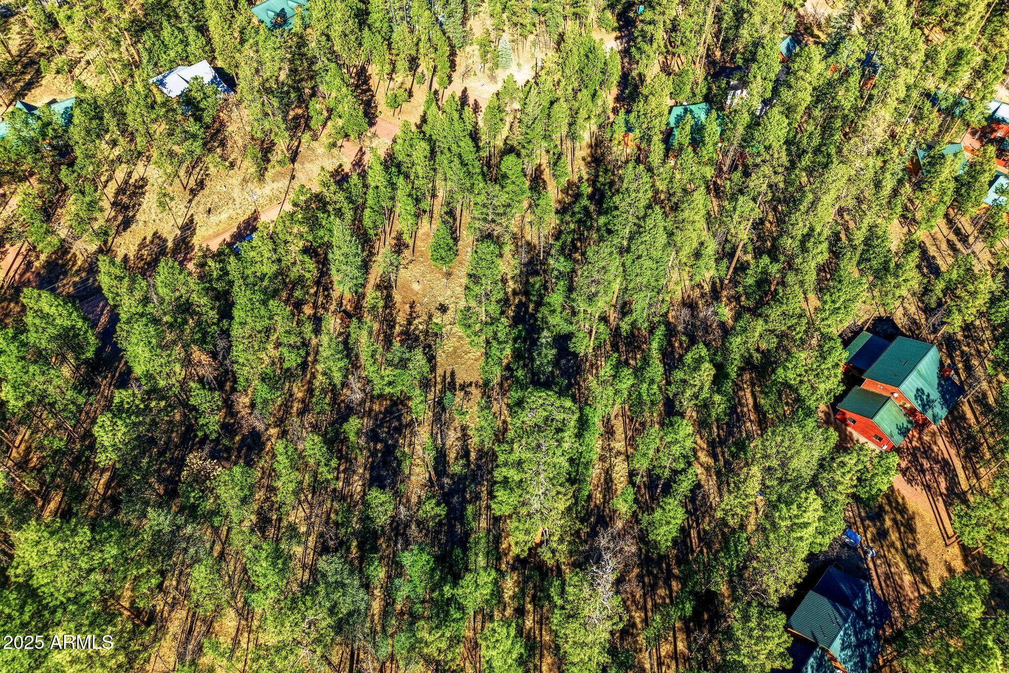 20 Co Road, Unit 114 Alpine, AZ 85920 - Photo 15 of 15 20CR2067-Alpine-AZ-12