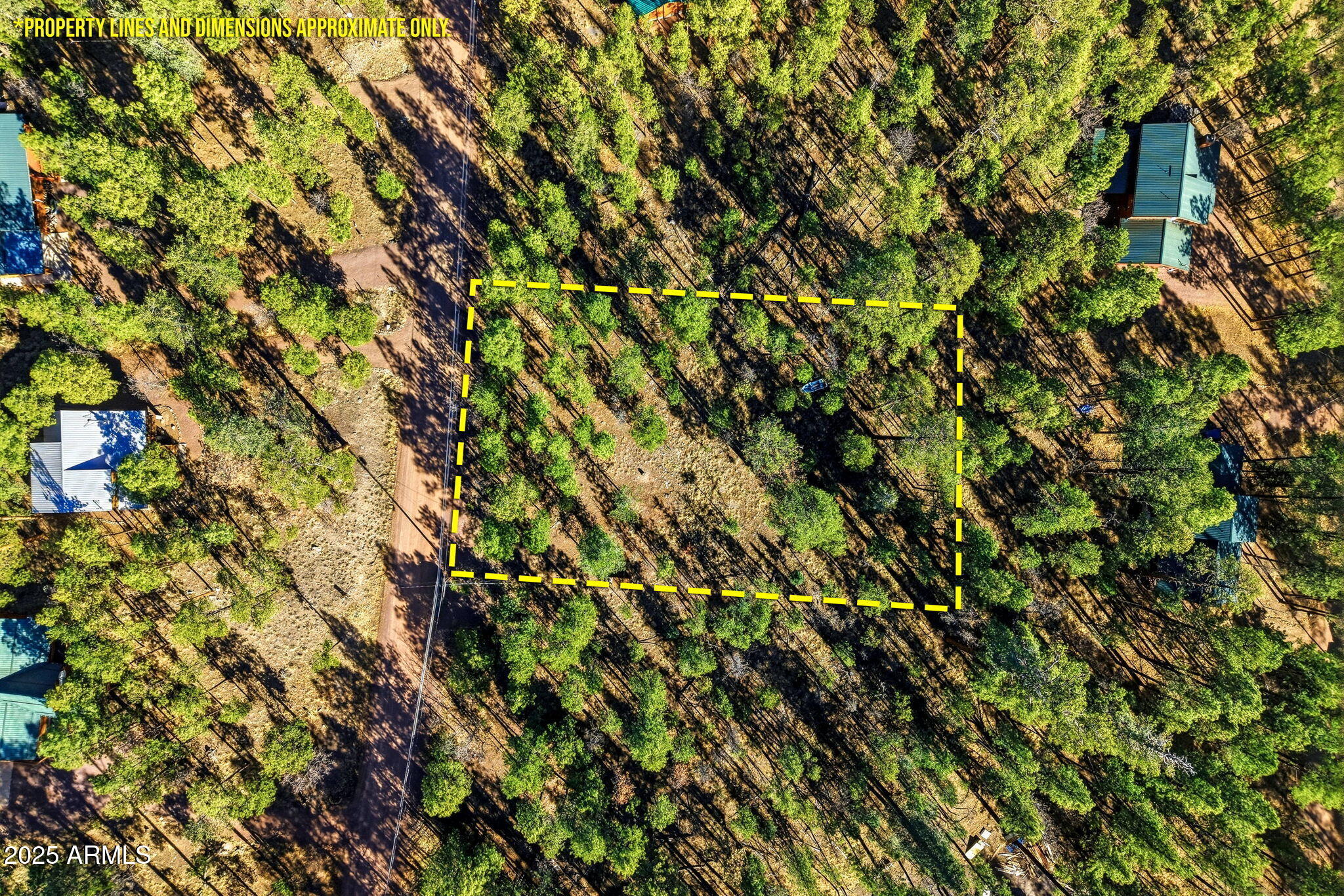 20 Co Road, Unit 114 Alpine, AZ 85920 - Photo 3 of 15 20CR2067-Alpine-AZ-15