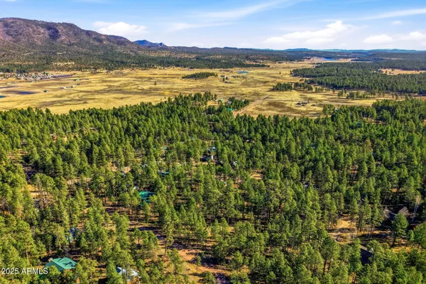 $79,000 | 20 Co Road, Unit 114, Alpine, AZ 85920