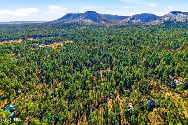 $85,000 | 20 Co Road, Unit 114, Alpine, AZ 85920