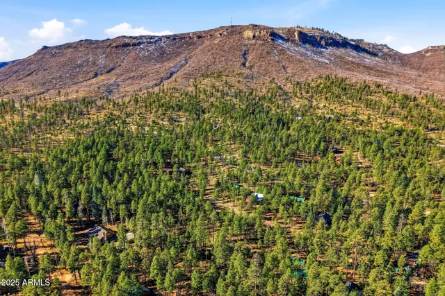 $85,000 | 20 Co Road, Unit 114, Alpine, AZ 85920