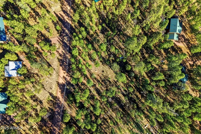 $85,000 | 20 Co Road, Unit 114, Alpine, AZ 85920