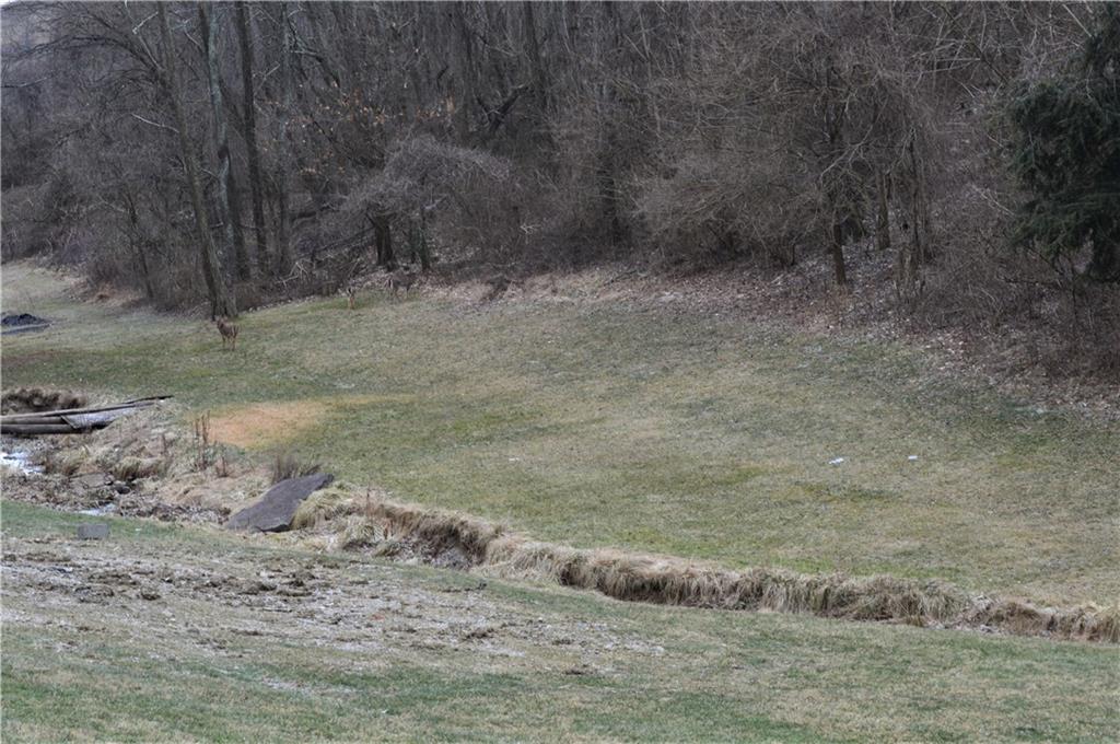 425 Quarry Road Washington, PA 15301 - Photo 3 of 4 a view of a dry yard with wooden fence