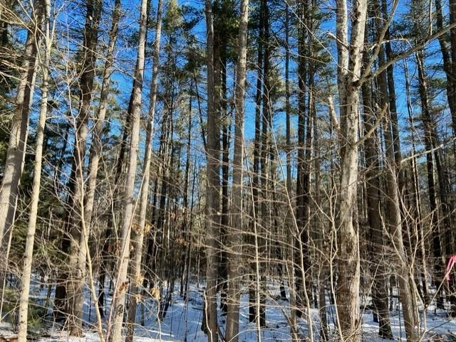 0 Montalona Road Dunbarton, NH 03046 - Photo 8 of 11