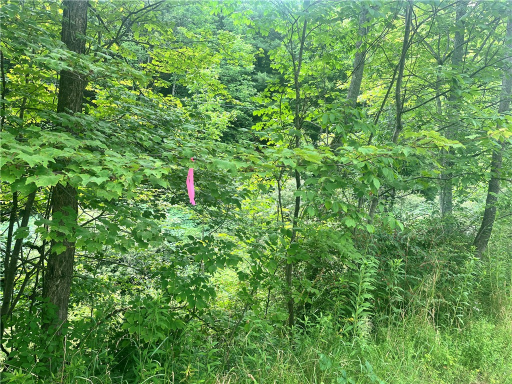 0 Marvin Hollow Road Walton, NY 13856 - Photo 19 of 22 Right side marked by pink ribbon