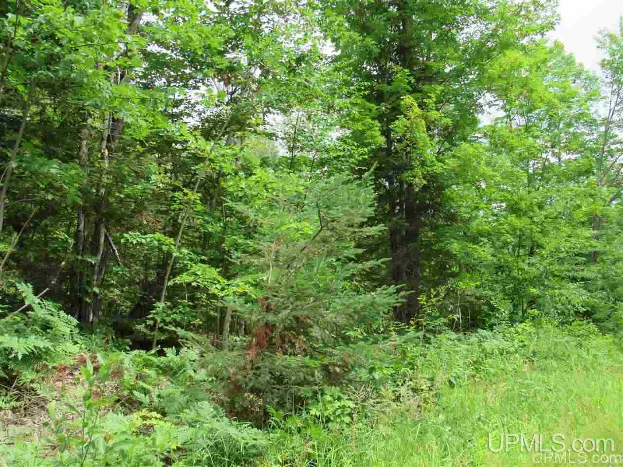 120 A Donken-tapiola Road Hancock, MI 49931 - Photo 3 of 14