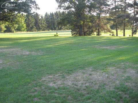 15441 South Duffield Road Byron, MI 48418 - Photo 16 of 36 20286411-15.JPG
