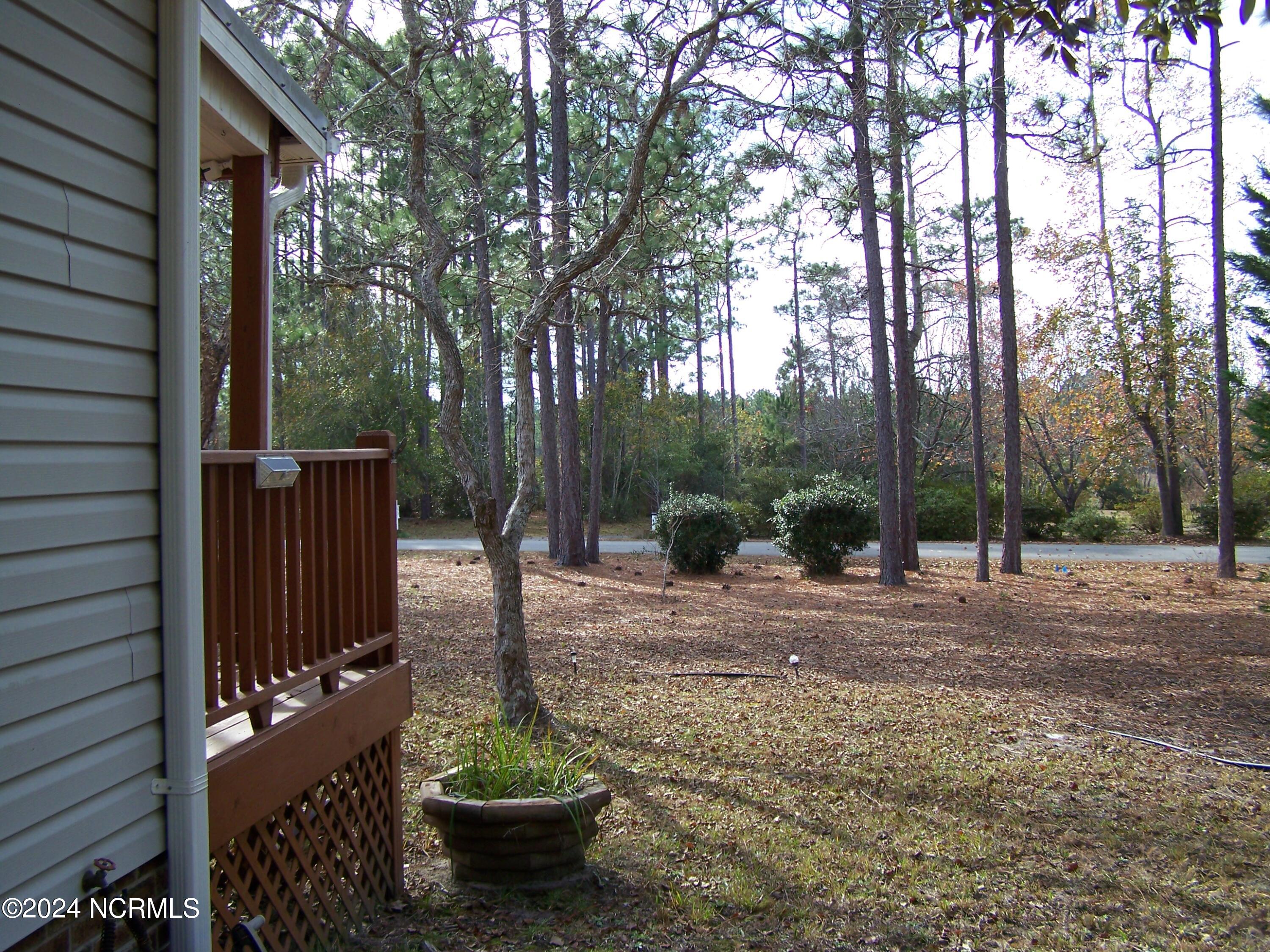 36 North Lake Drive Boiling Spring Lakes, NC 28461 - Photo 46 of 55 Left front yard