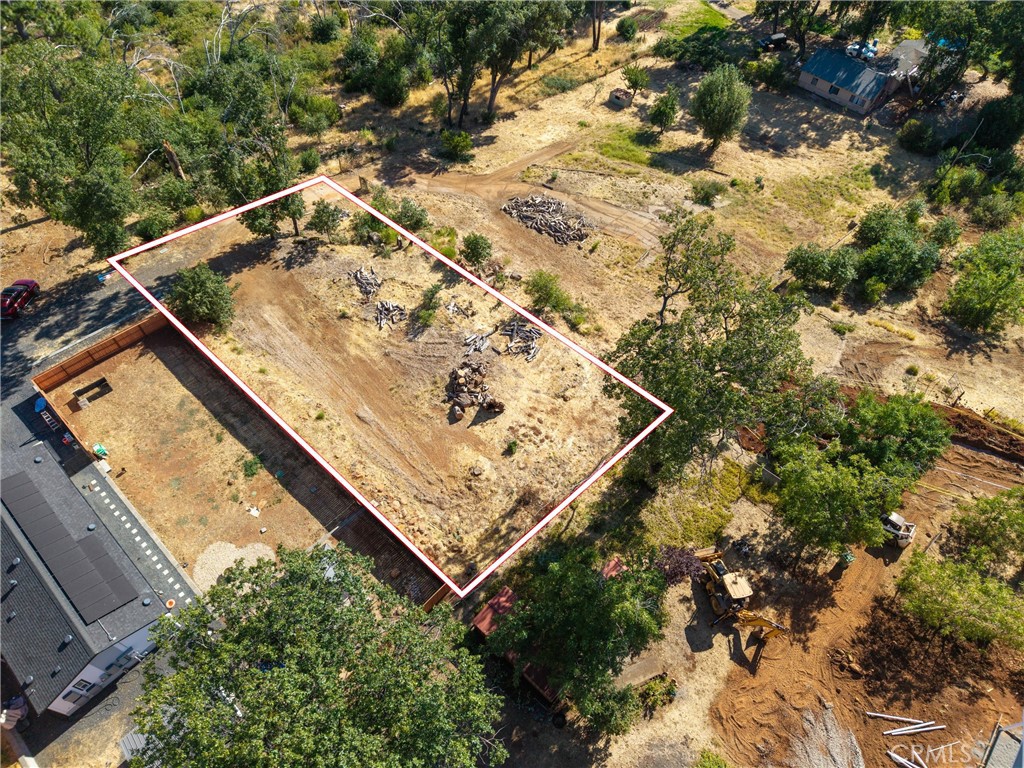a view of a yard with a tree