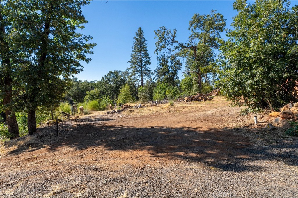 1569 La Grand View Road Paradise, CA 95969 - Photo 2 of 13 a view of dirt yard with a large tree