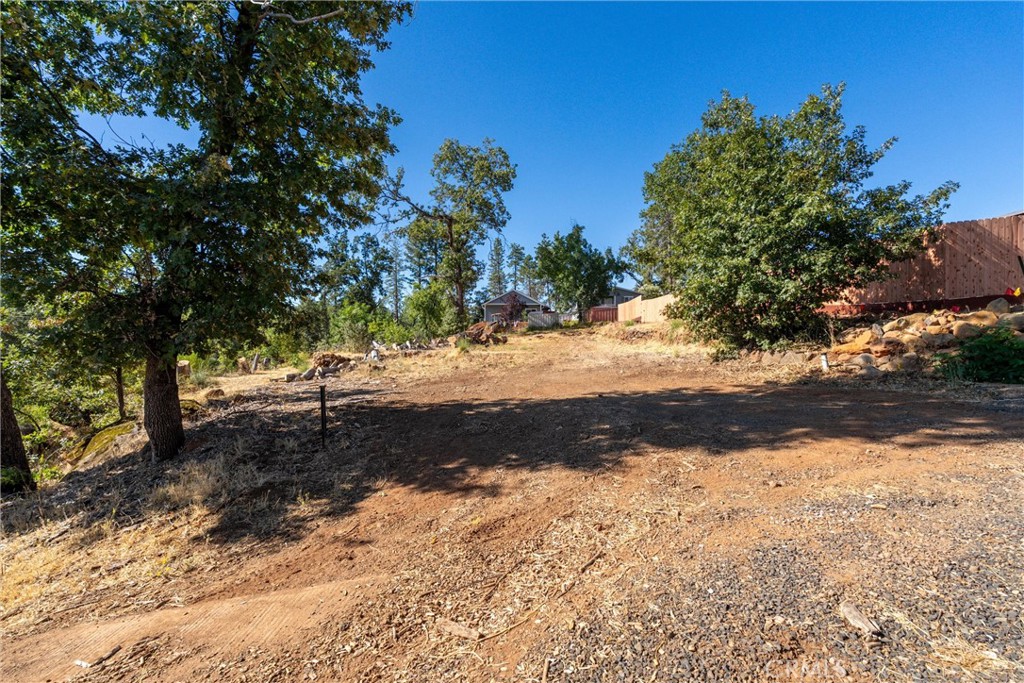 1569 La Grand View Road Paradise, CA 95969 - Photo 3 of 13 a view of dirt yard with a large tree