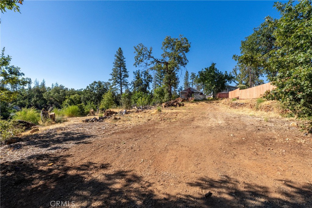 1569 La Grand View Road Paradise, CA 95969 - Photo 4 of 13 a view of a yard with a tree