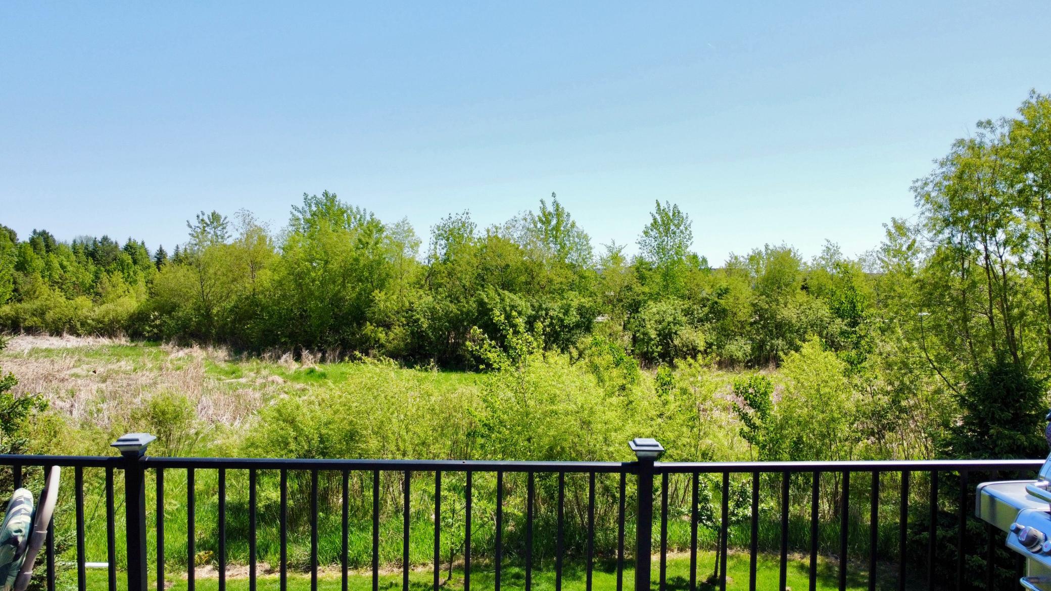 4181 Prairie View Trail Medina, MN 55340 - Photo 39 of 47
