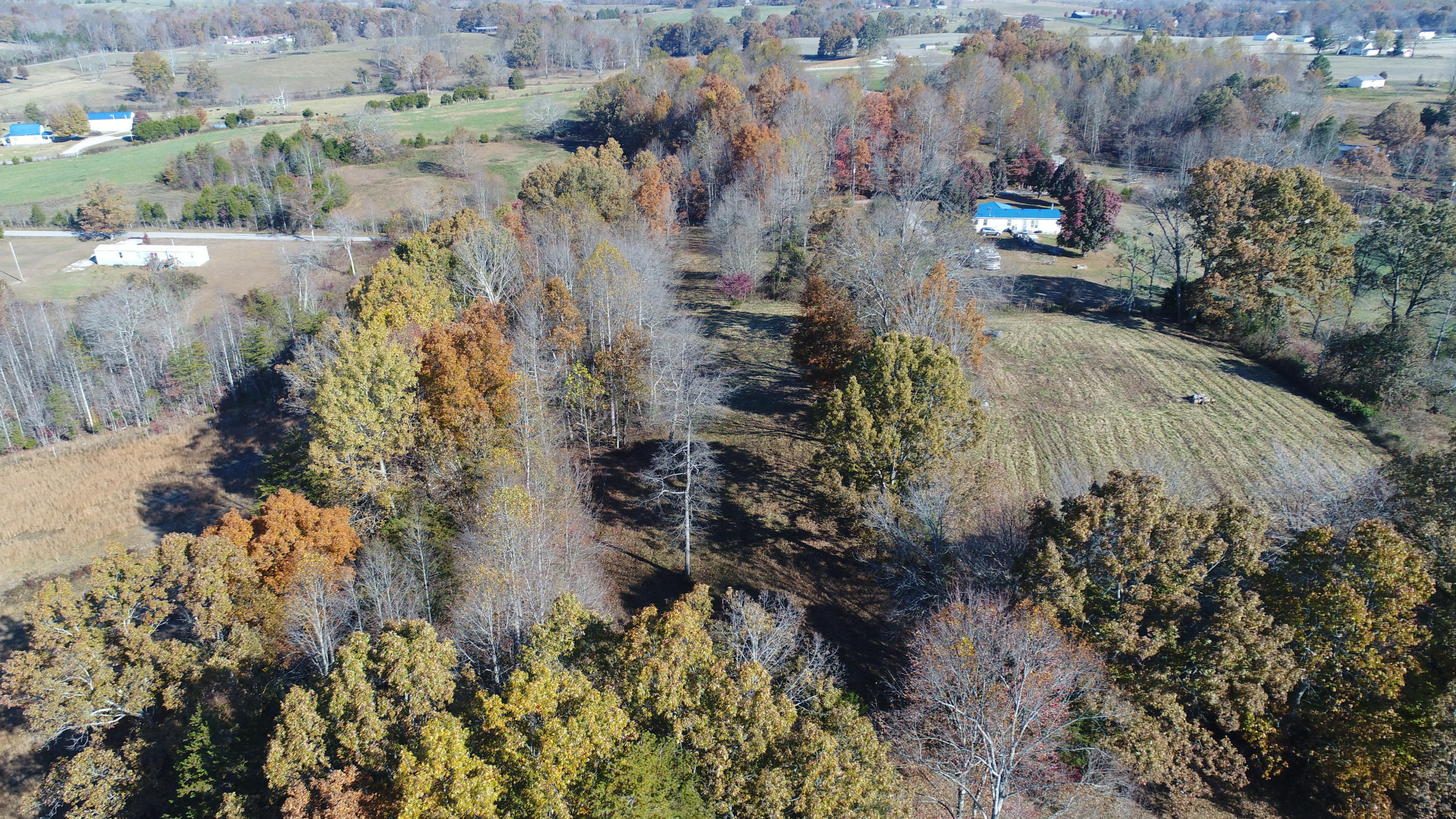 201 Goodhope Church Road Eubank, KY 42567 - Photo 4 of 28 DJI_0958