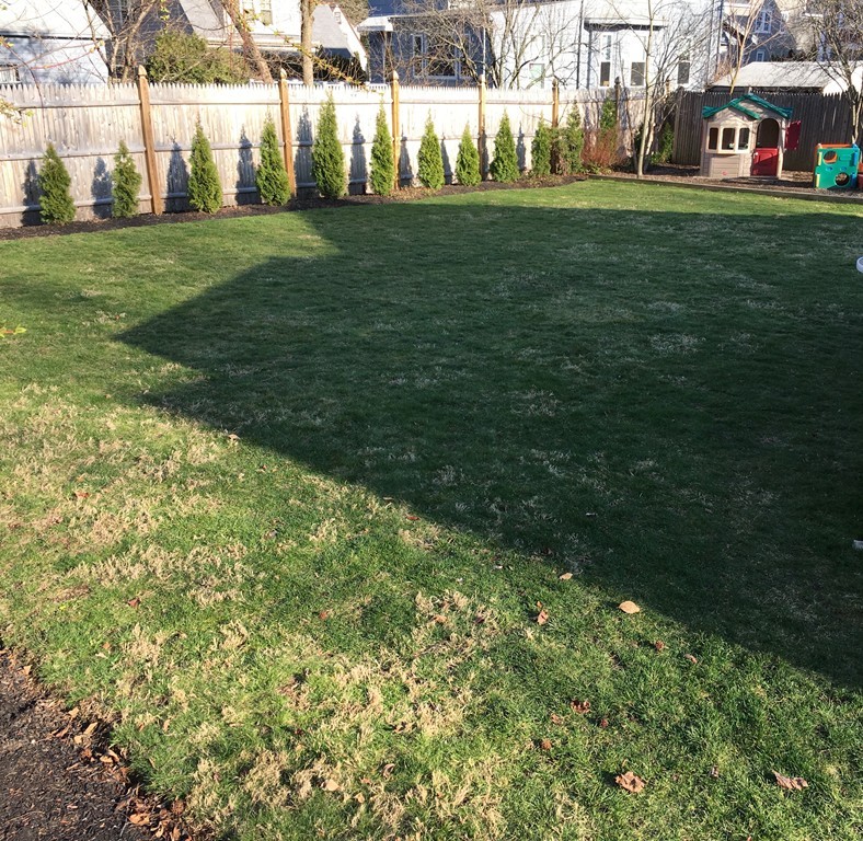 574 Webster Street Needham, MA 02494 - Photo 25 of 26