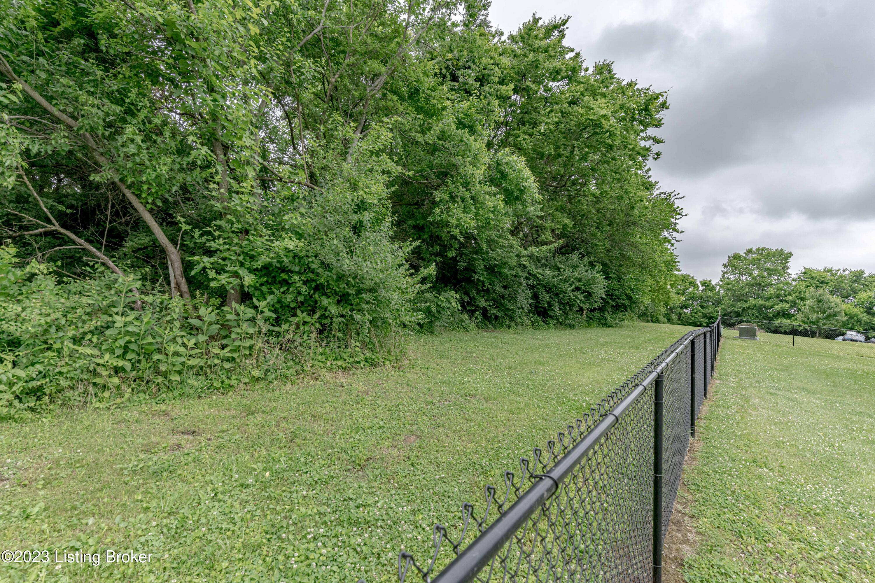 53 Lenore Road Coxs Creek, KY 40013 - Photo 32 of 36 DSC08933