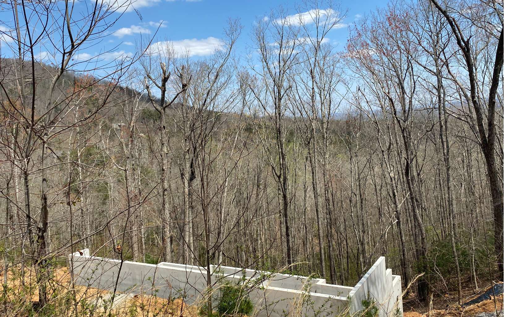 400 Deer Crest Road Blue Ridge, GA 30513 - Photo 1 of 4 Main View