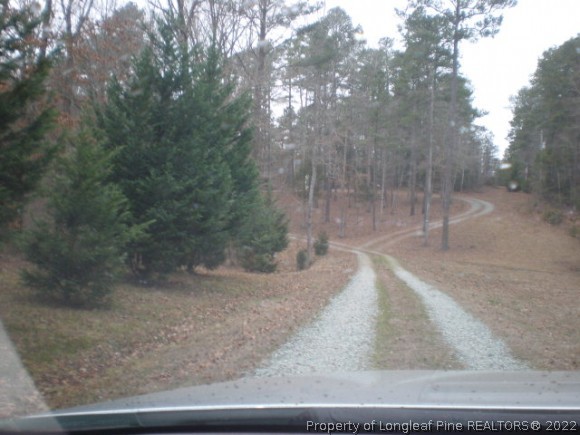 848 Torchwood Road Carthage, NC 28327 - Photo 2 of 14 a view of a forest that has a tree