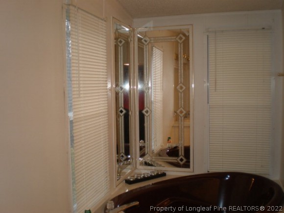 848 Torchwood Road Carthage, NC 28327 - Photo 8 of 14 a view of a bathroom