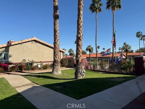 a view of a park with a big yard and palm trees
