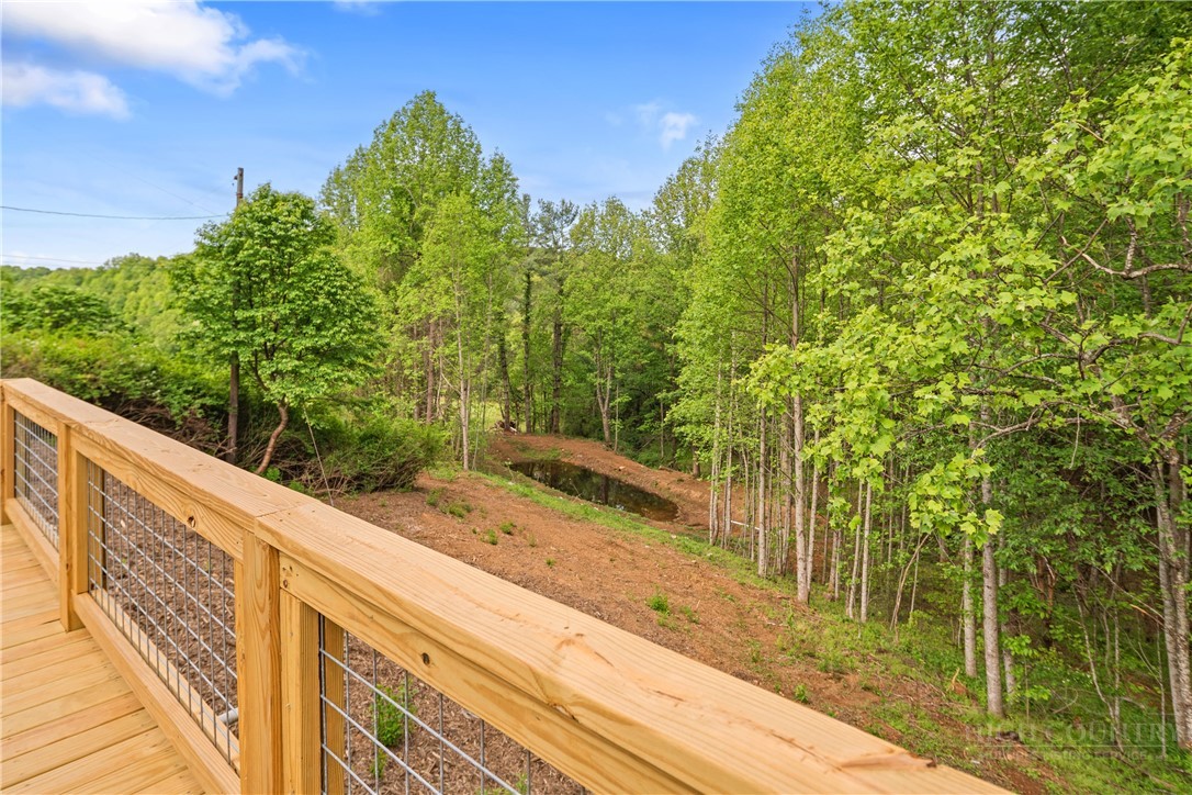 466 Stony Fork Road Deep Gap, NC 28618 - Photo 10 of 49