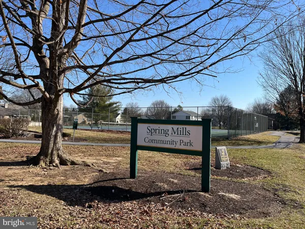 a view of a street with a tree
