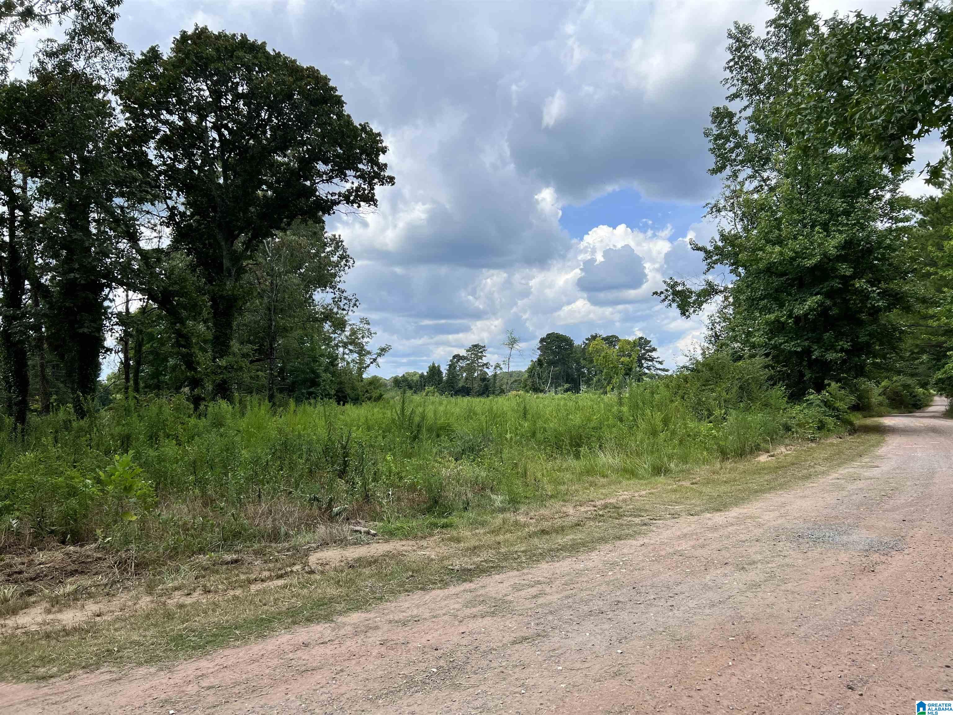2845 Corner Road Warrior, AL 35180 - Photo 1 of 3