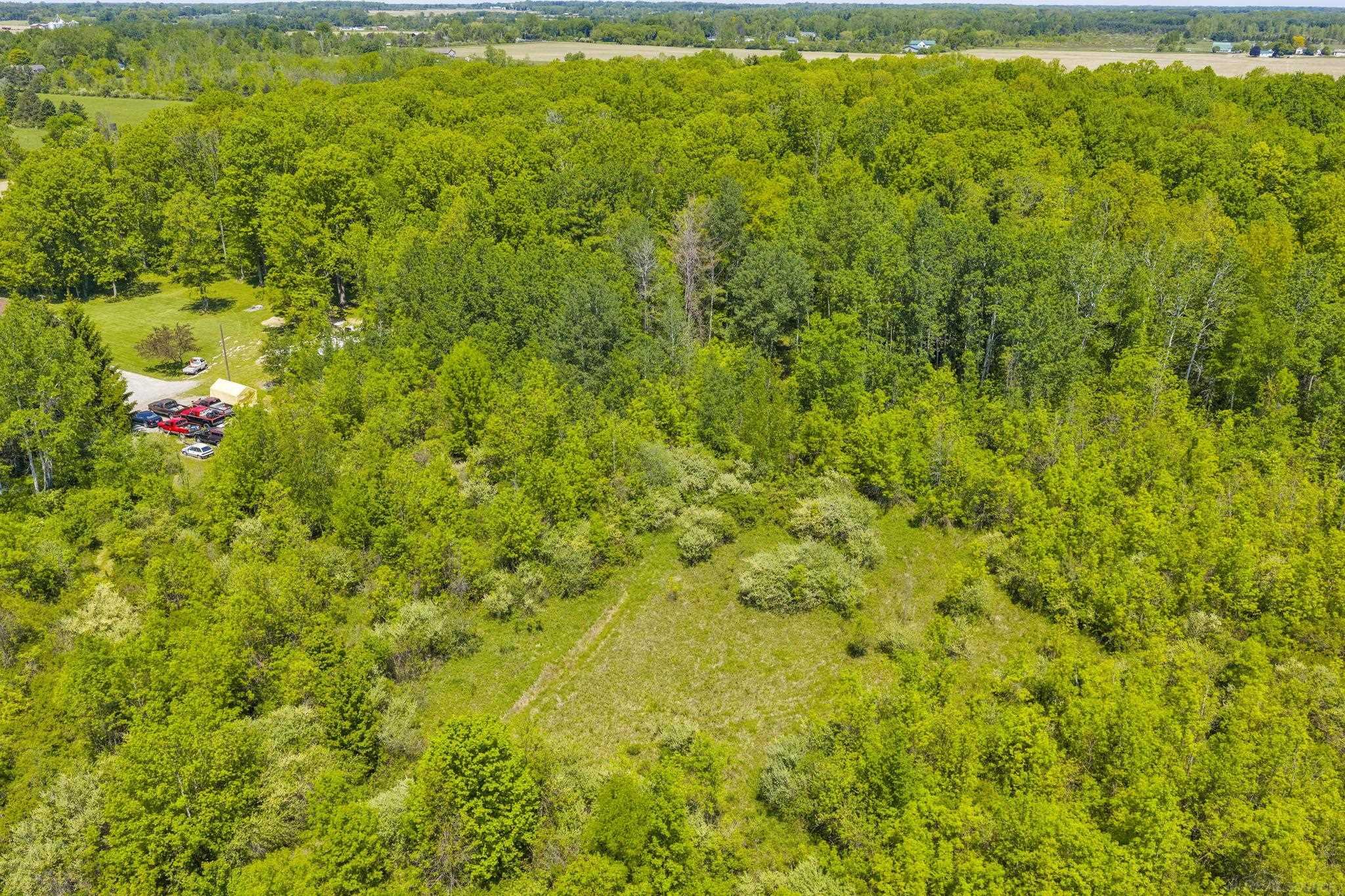 0 Wellman Line Road Yale, MI 48097 - Photo 6 of 10