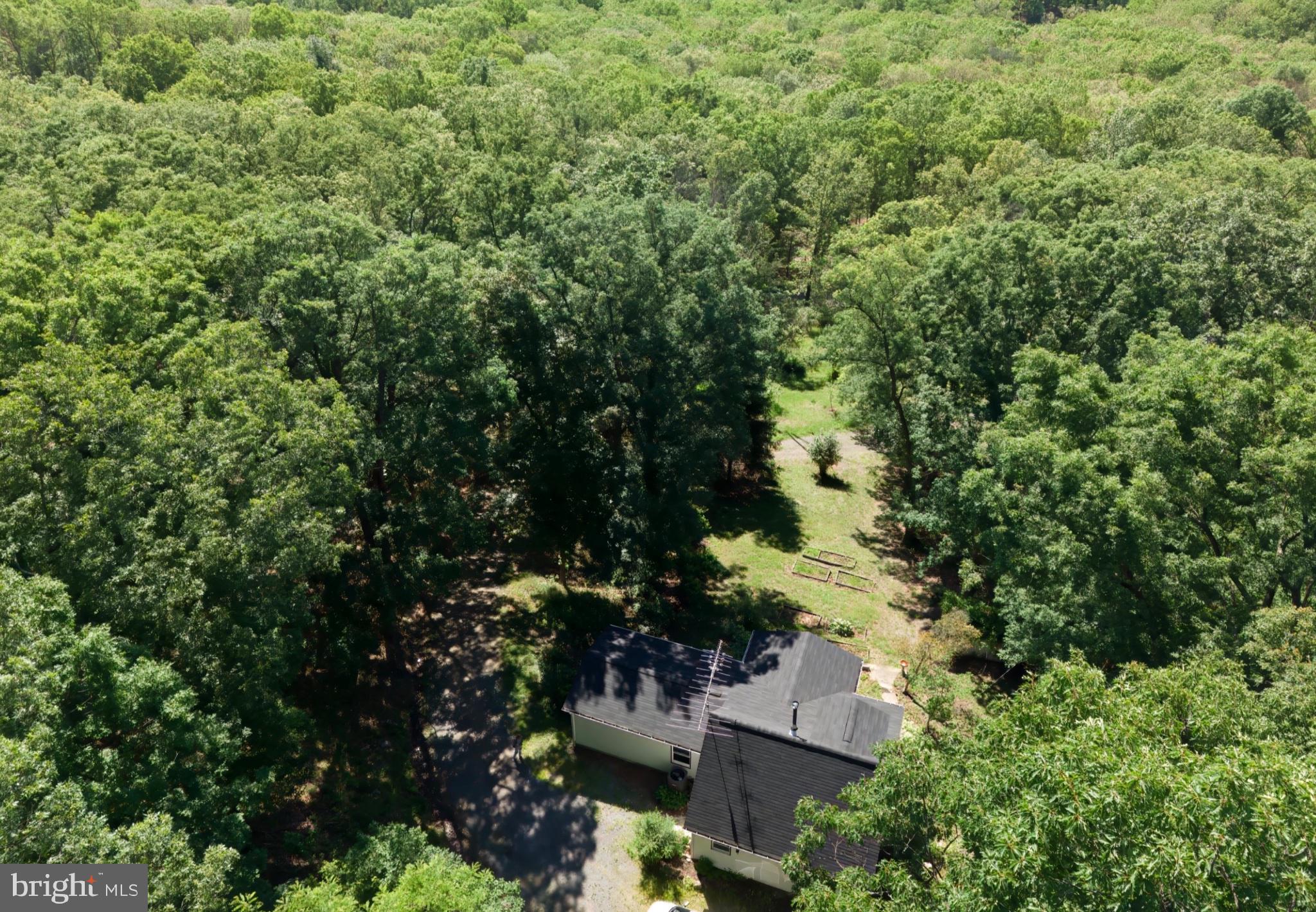 2932 Kerns School Road Springfield, WV 26763 - Photo 34 of 35 Secluded retreat amidst lush greenery.