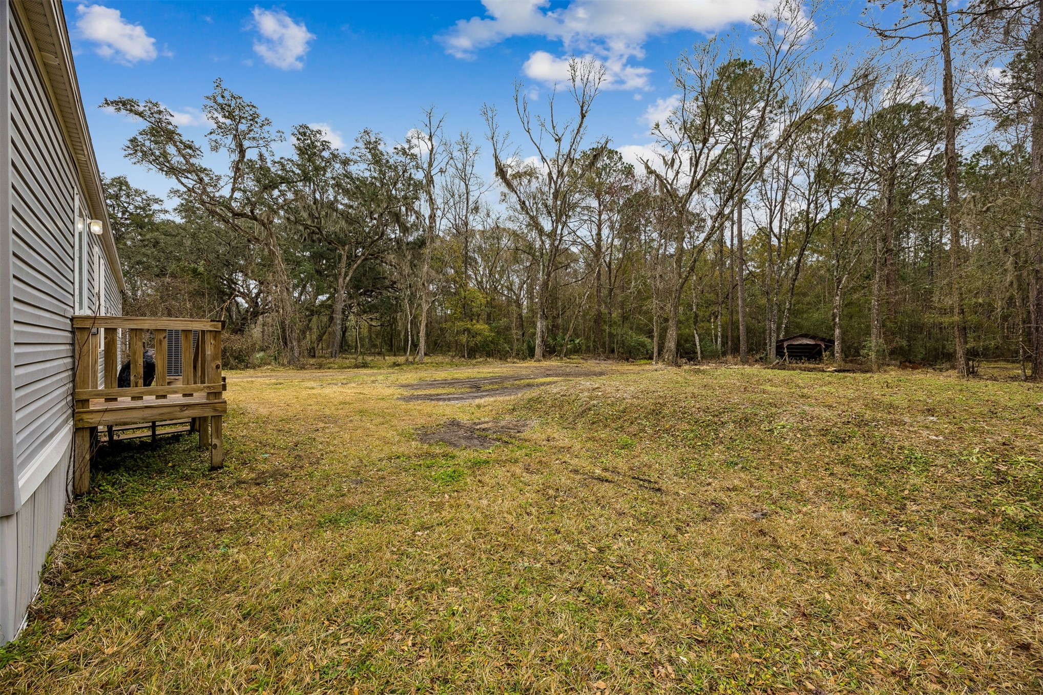 54124 Catherine Avenue Callahan, FL 32011 - Photo 12 of 29 a backyard of a house with lots of green space
