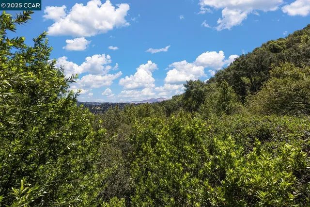a view of a flower in a garden