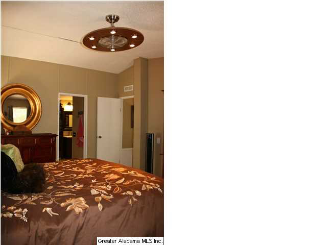 8141 Serene Lake Road McCalla, AL 35111 - Photo 16 of 32