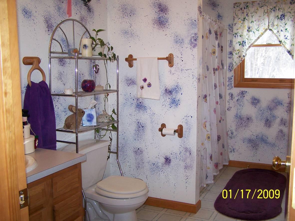 51 Barnard Road Savoy, MA 01256 - Photo 16 of 18 bathroom - 3