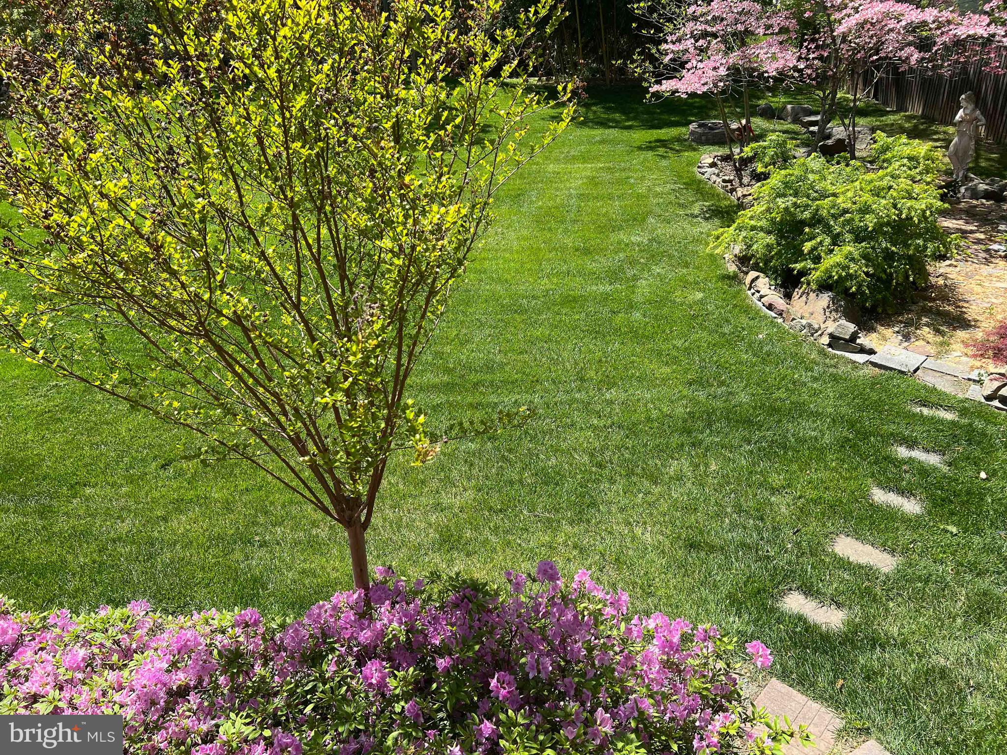 6004 Colchester Road Fairfax, VA 22030 - Photo 45 of 47 Back Yard
