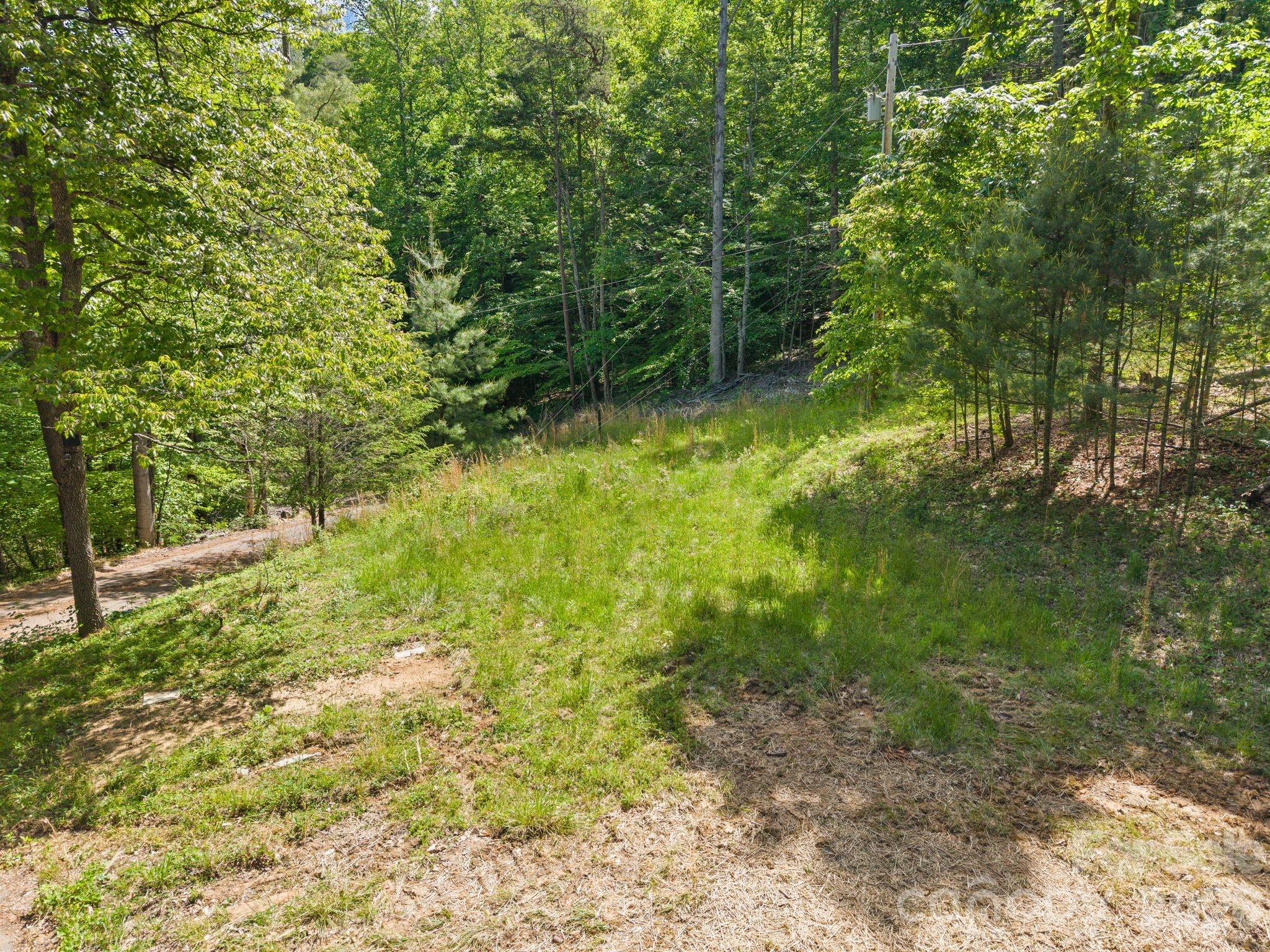 31 White Bridge Road Weaverville, NC 28787 - Photo 11 of 14