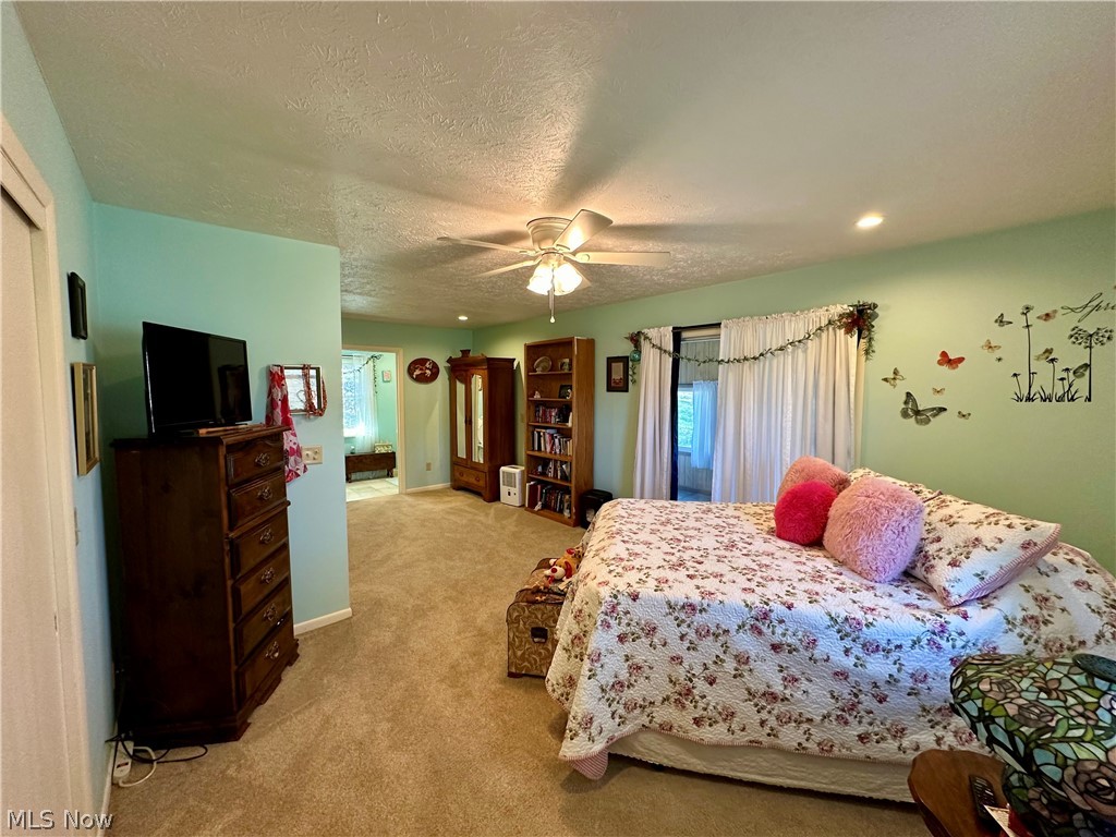 111 Fort Road Southwest Dellroy, OH 44620 - Photo 24 of 38 Bedroom featuring light colored carpet, multiple windows, a textured ceiling, and ceiling fan