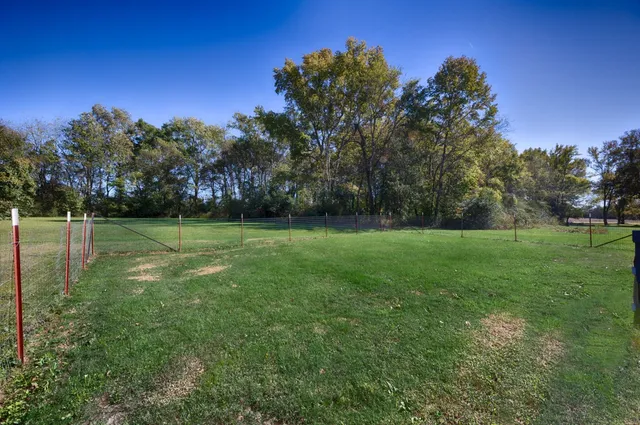 a view of a grassy field with trees in the background