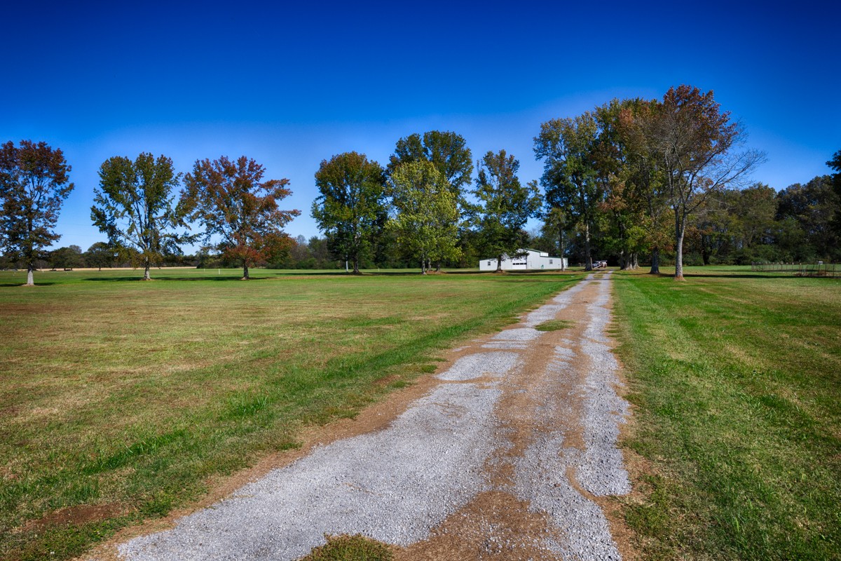 167 Henry Bayless Road Ardmore, TN 38449 - Photo 27 of 30 a view of a golf course with an outdoor space and seating