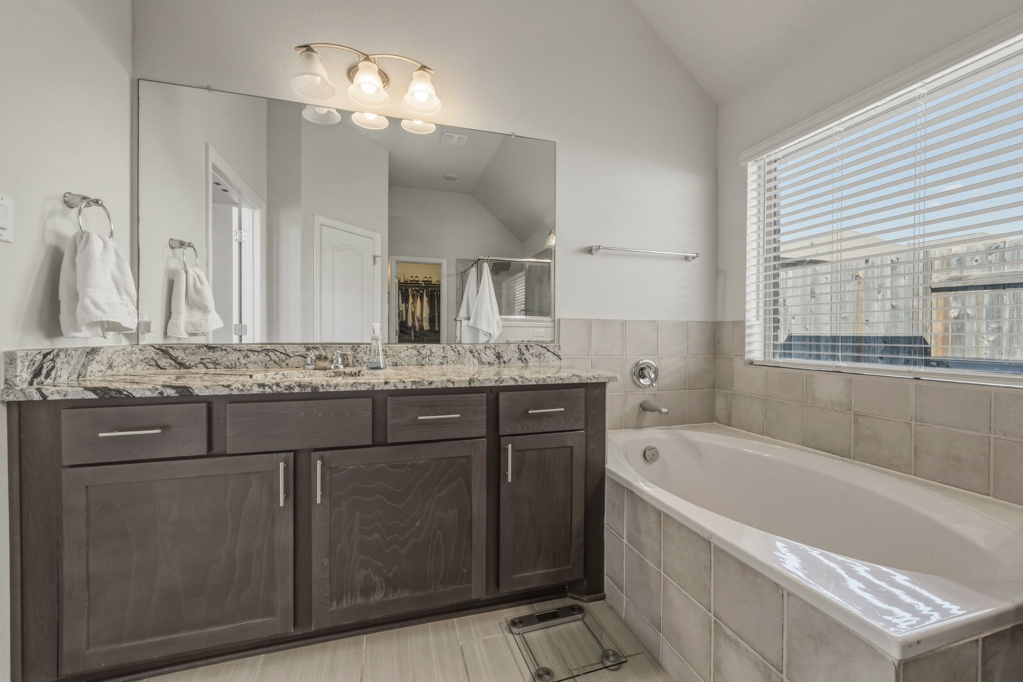 918 Leadtree Loop Buda, TX 78610 - Photo 16 of 27 Bathroom featuring vanity, vaulted ceiling, and a bath