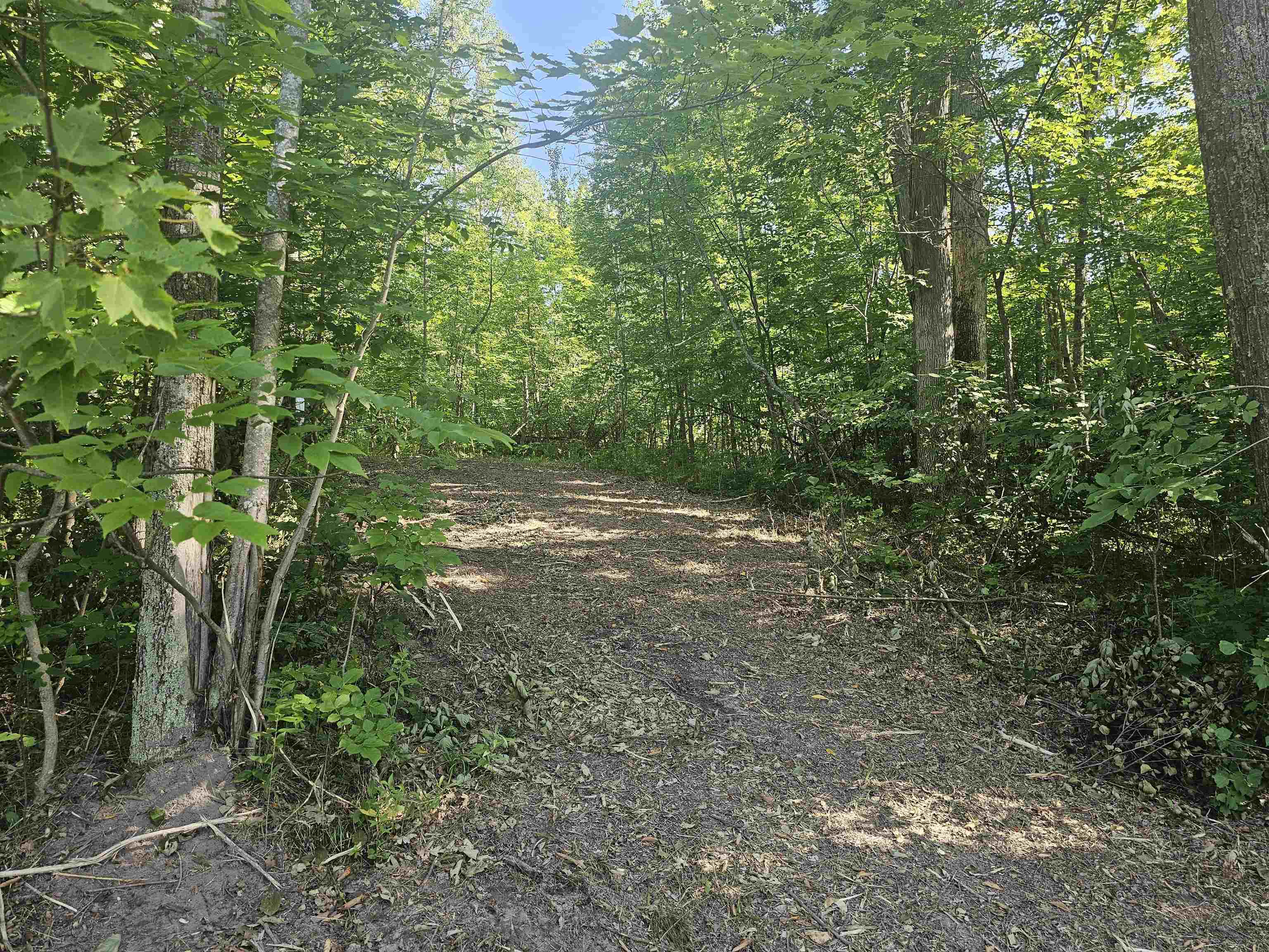 0 Barber Road Hale, MI 48739 - Photo 29 of 34