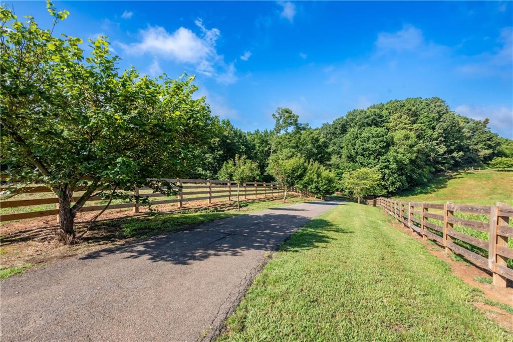 755 Harris Road Jasper, GA 30143 - Photo 4 of 60 a view of a yard with swimming pool