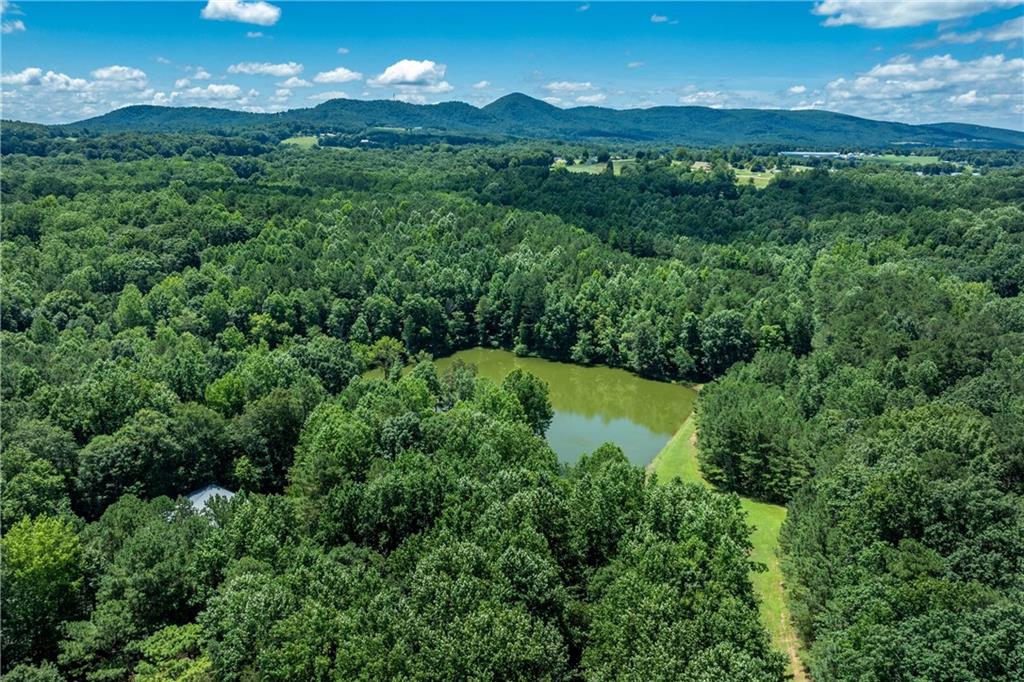 755 Harris Road Jasper, GA 30143 - Photo 50 of 60