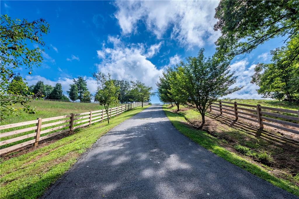 755 Harris Road Jasper, GA 30143 - Photo 5 of 60 a view of a yard with wooden fence
