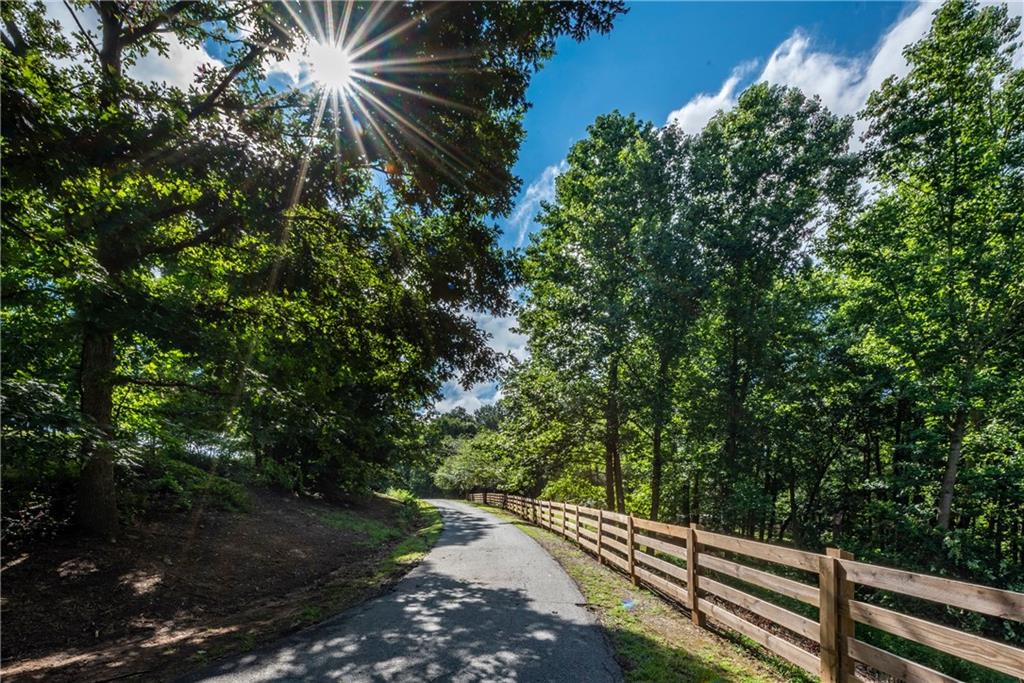 755 Harris Road Jasper, GA 30143 - Photo 9 of 60 a view of a yard with plants and a trees